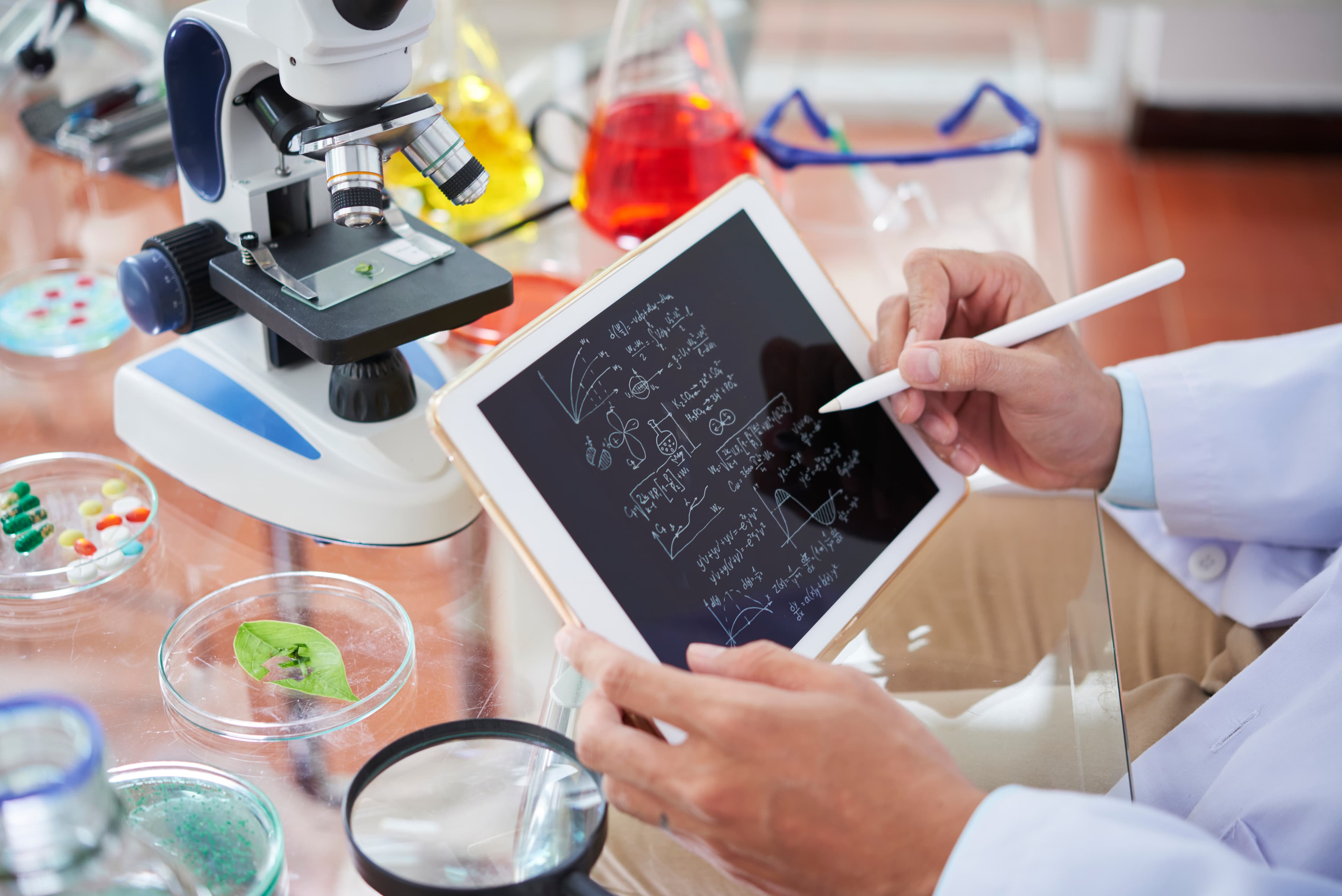 Mastering Chemical Exports: Market Insights & Regulatory Expertise